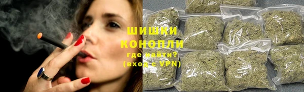 крисы Козловка