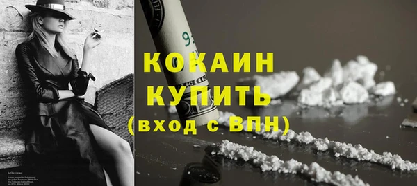 крисы Козловка