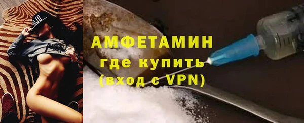 крисы Козловка
