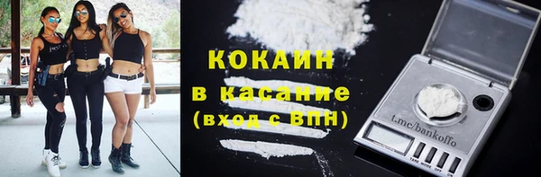 шишки Кодинск