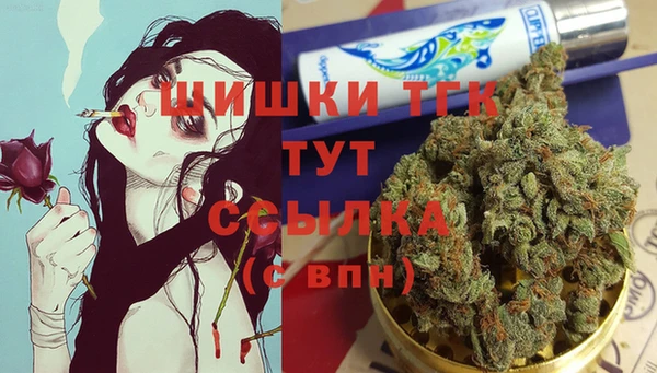 шишки Кодинск