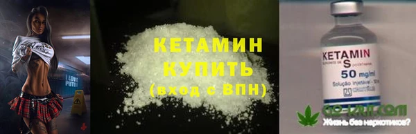 крисы Козловка