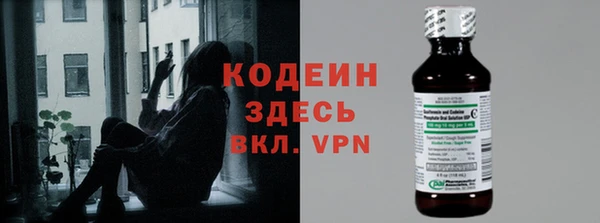 шишки Кодинск