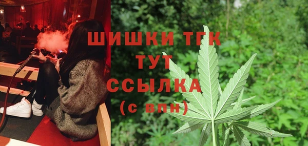 шишки Кодинск