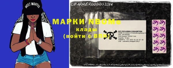 шишки Кодинск
