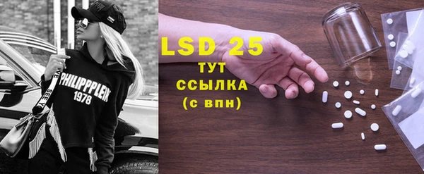 шишки Кодинск