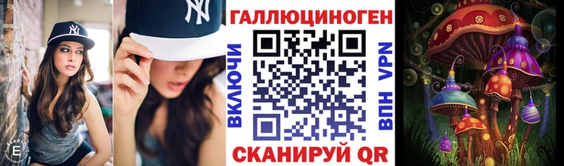 Купить  Болохово  Псилоцибиновые грибы Cubensis 